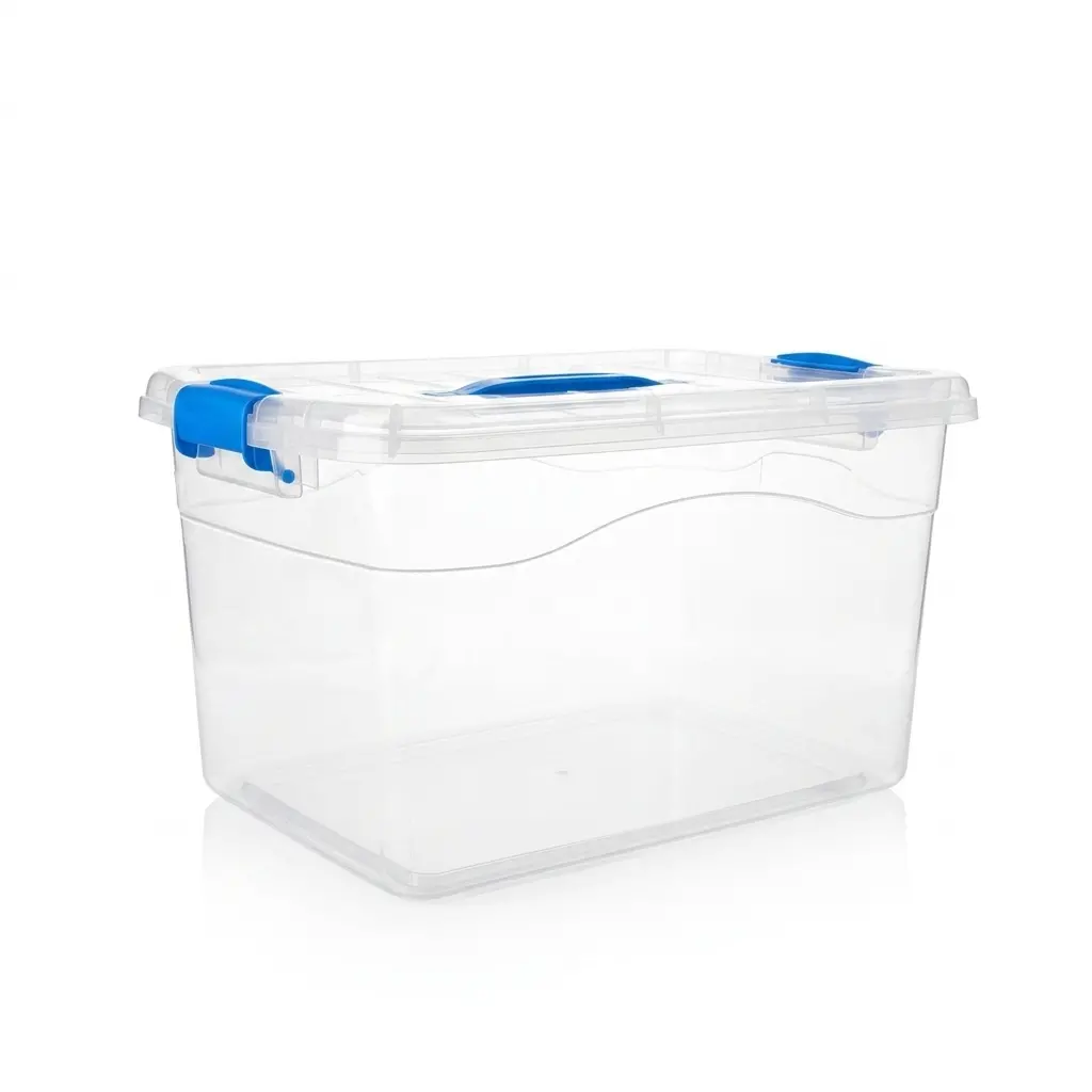 Cajas Organizadoras Transparentes con Tapa y Broches | Luxury