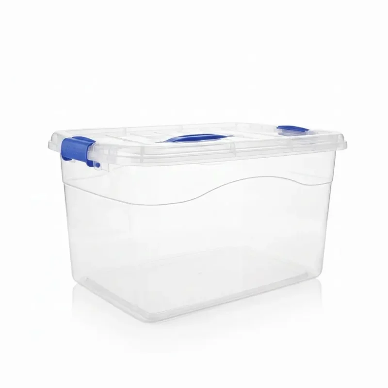 Caja organizadora transparente con tapa y broches