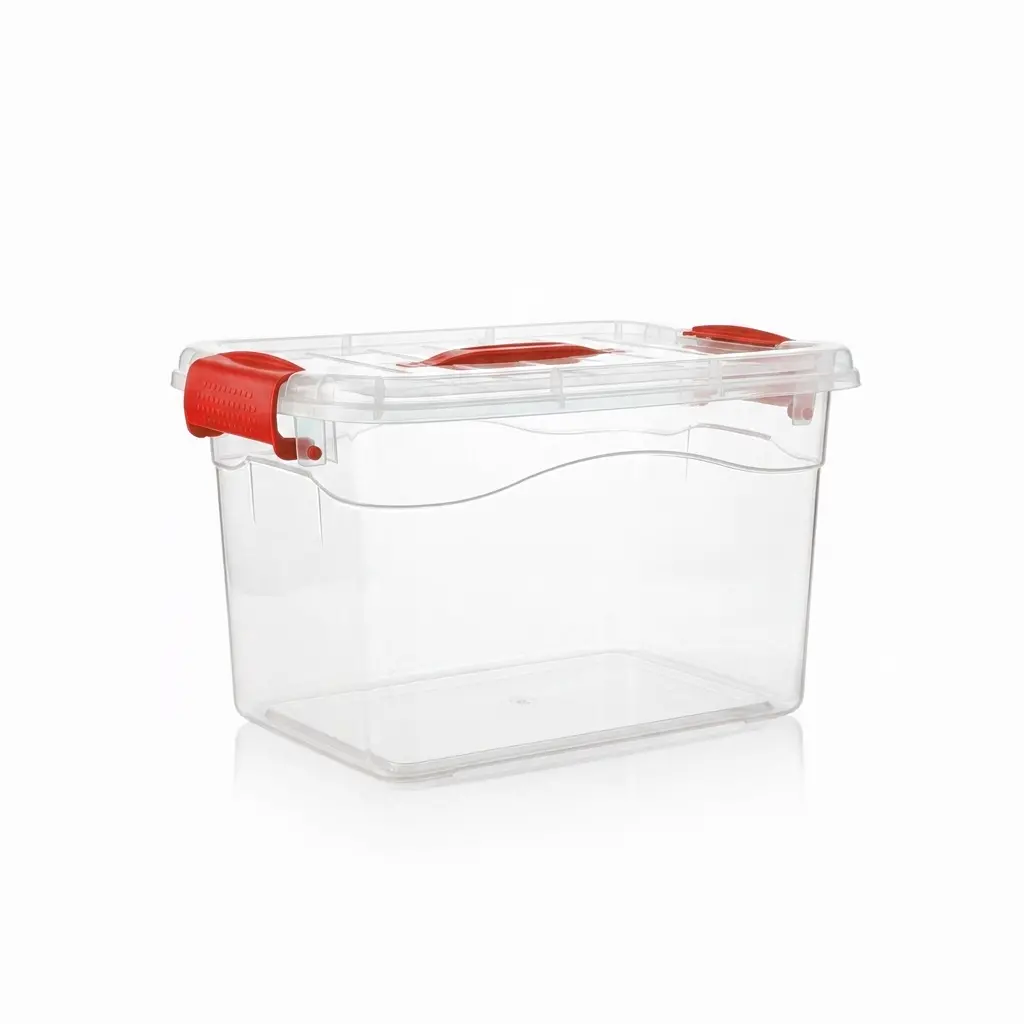 Cajas Organizadoras Transparentes con Tapa y Broches | Luxury